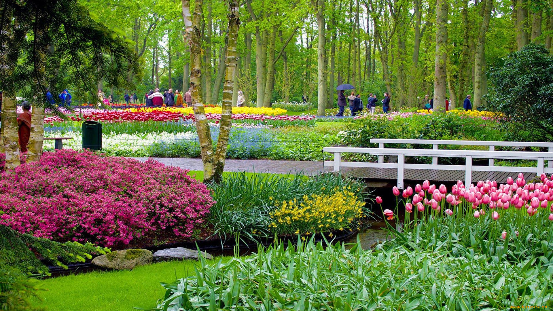 keukenhof garden, netherlands, , , keukenhof, garden
